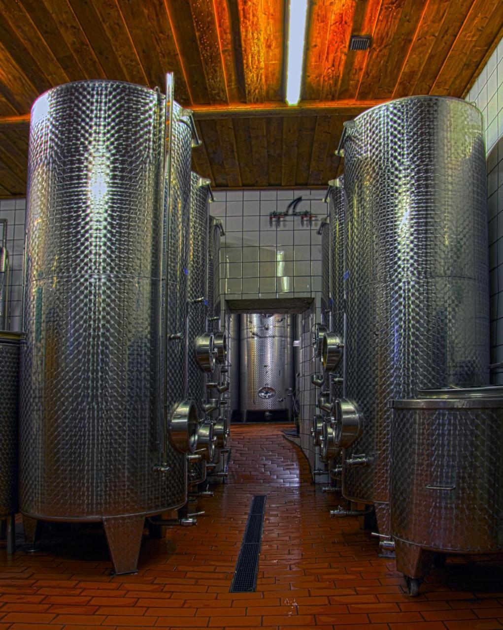 Ferienwohnung Am Weingut Eisenbock Strass  Extérieur photo